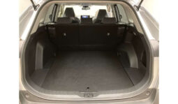 
										Toyota RAV-4 2019 full									