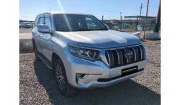 Toyota Land Cruiser Prado 2019