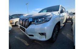 Toyota Land Cruiser Prado 2019